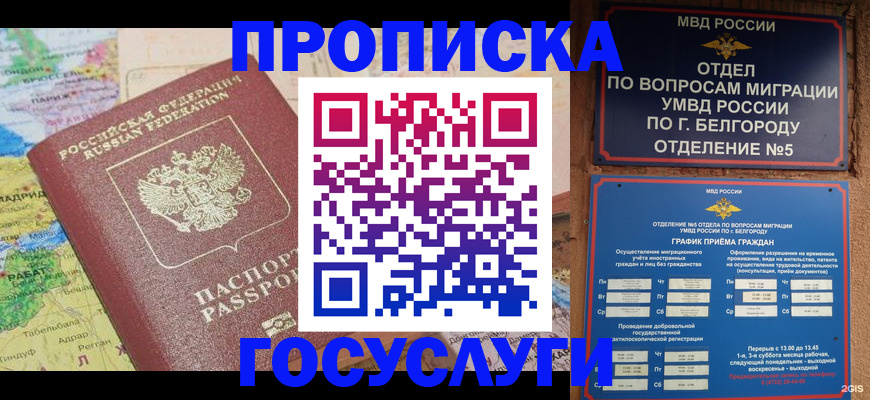 прописка регистрация в Гулькевичах